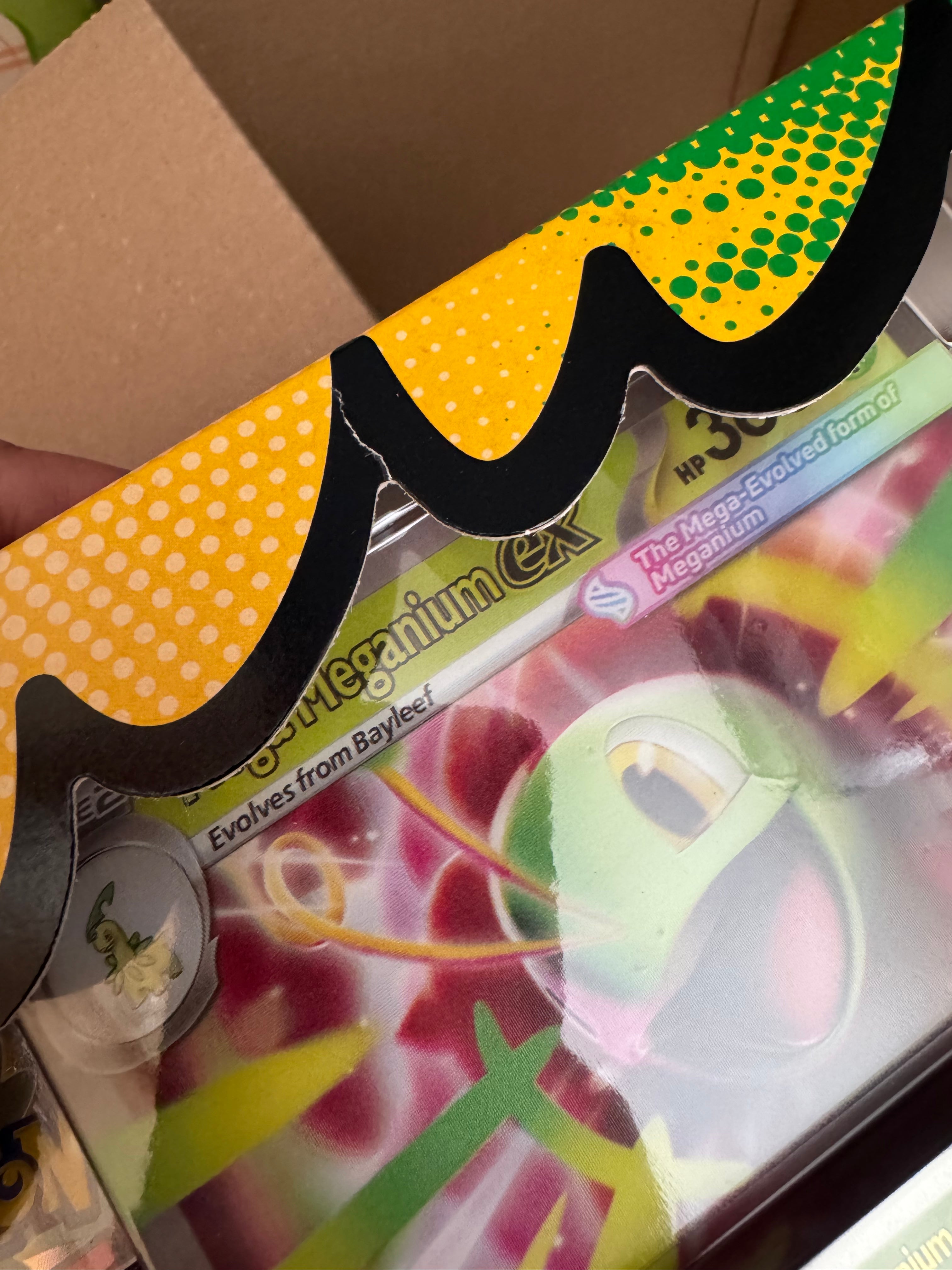 Pokémon Mega Evolution—Ascended Heroes Mega Meganium ex Box
